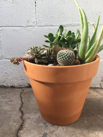 Indoor succulent planter