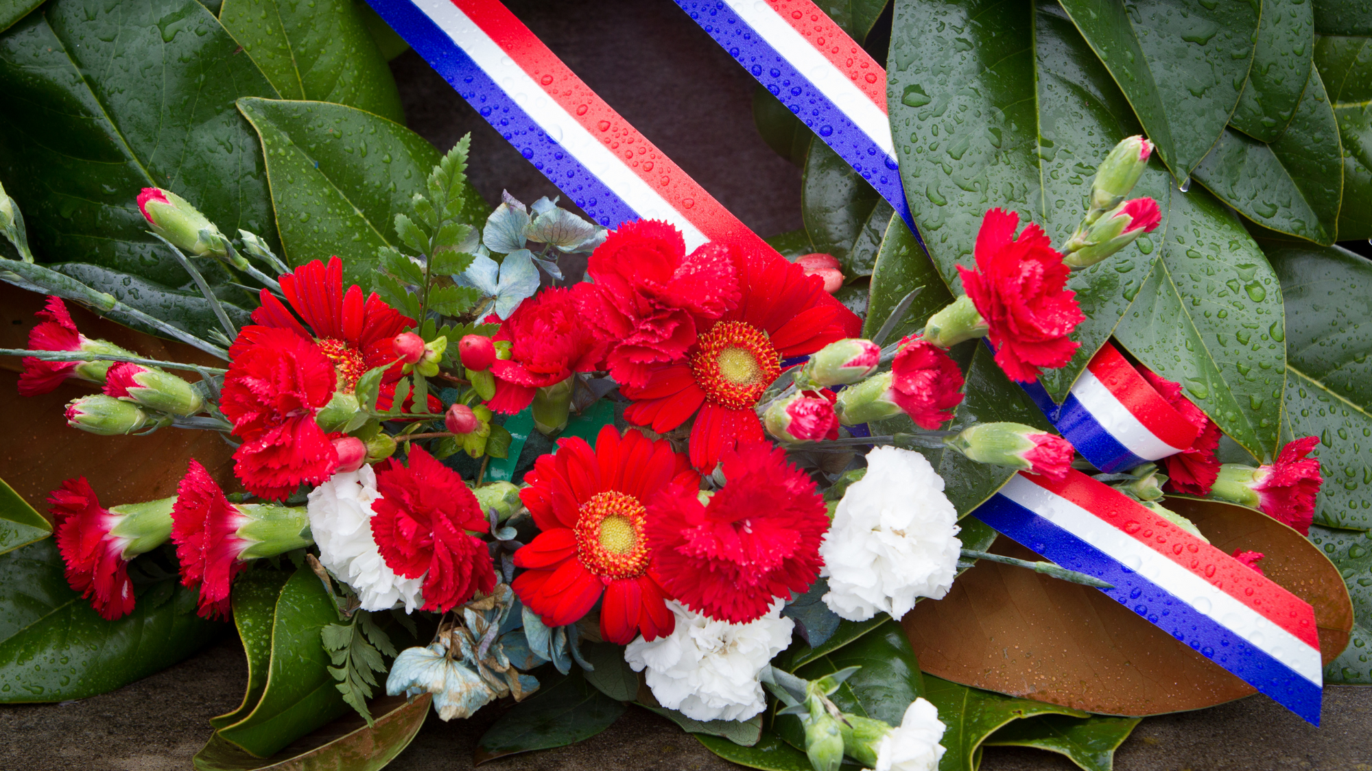 What to Consider When Choosing Plants for a Memorial Day Gathering