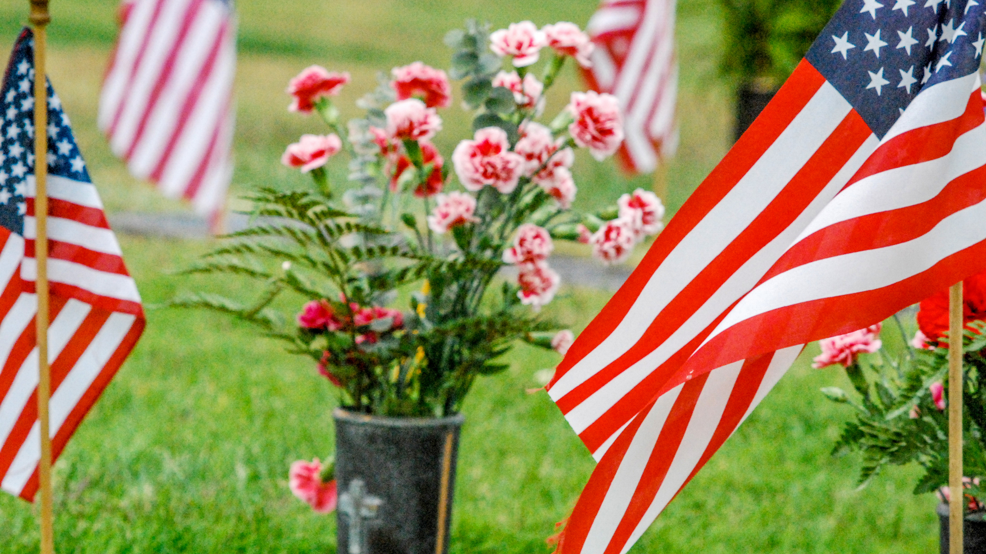 Which Flowers to Choose This Memorial Day