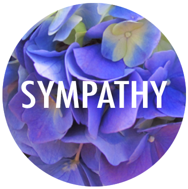 Shop | Sympathy