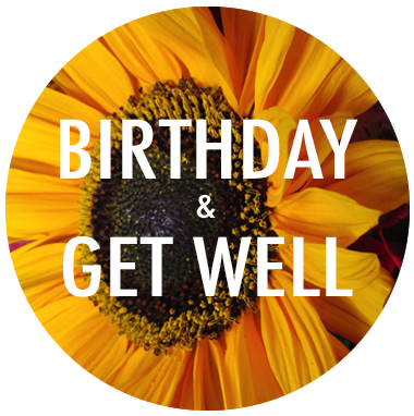 Shop | Birthdays/Get Well