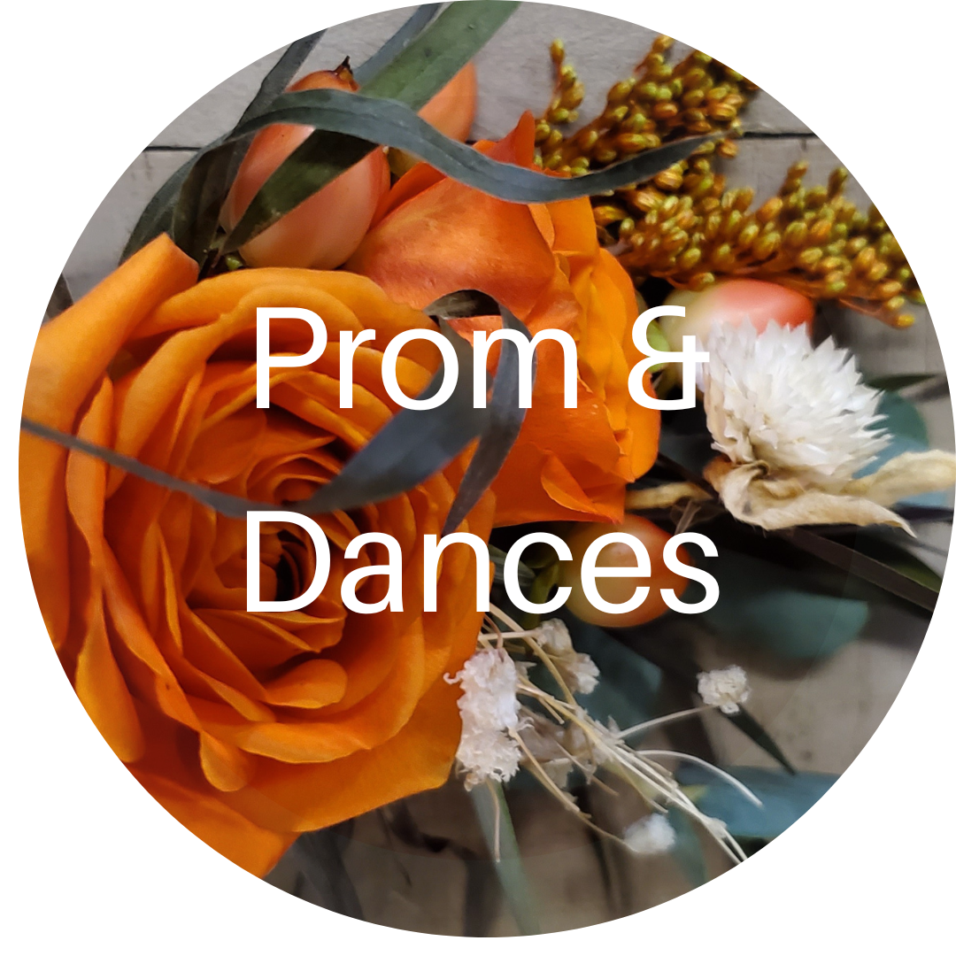 Shop | Prom and Dances