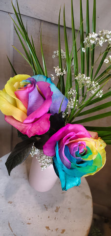 Rainbow roses