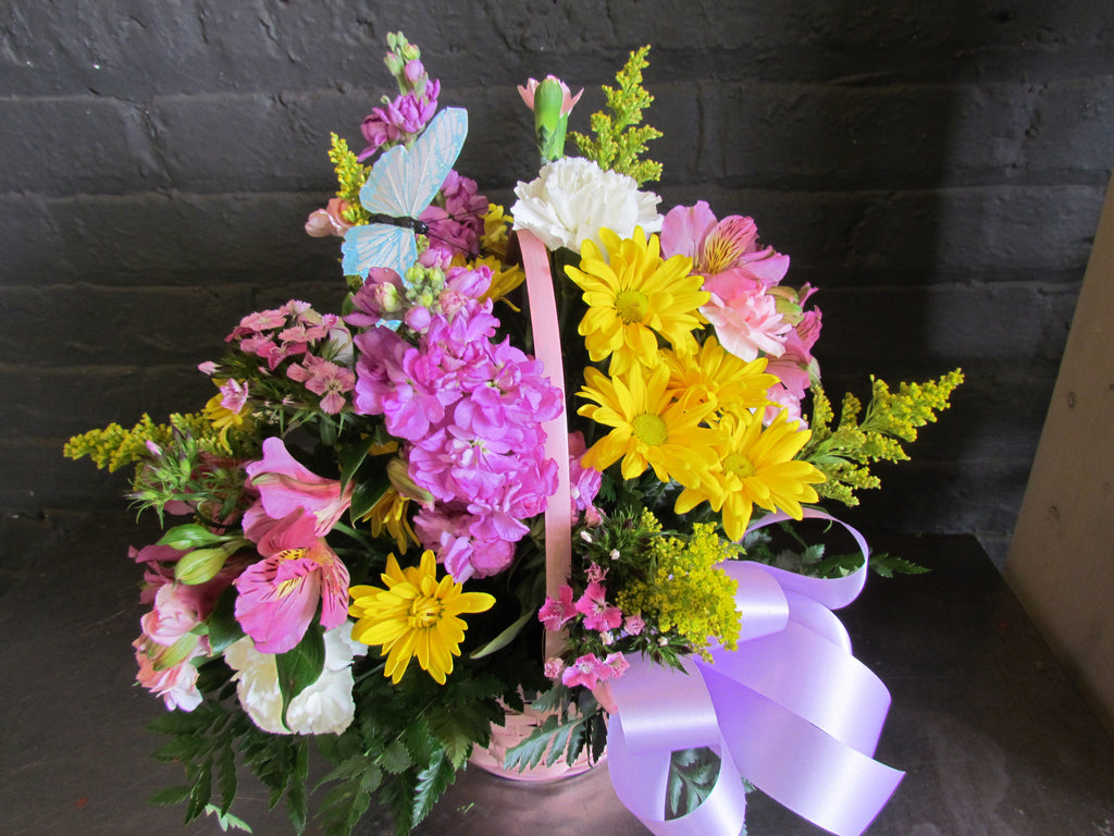 Spring basket arrangement with bow and butterfly. 