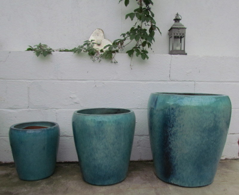 Ellemere planter in aqua