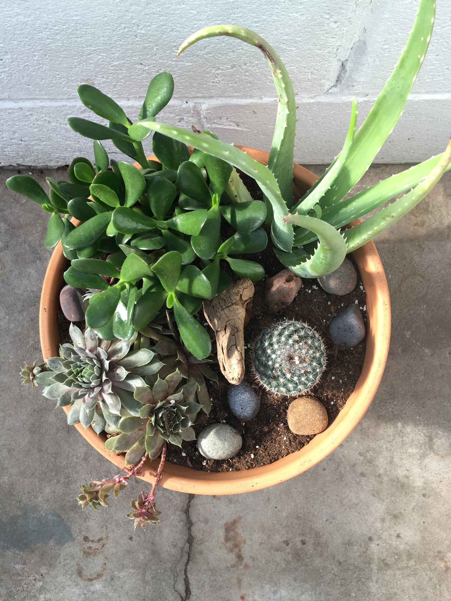 Indoor succulent planter