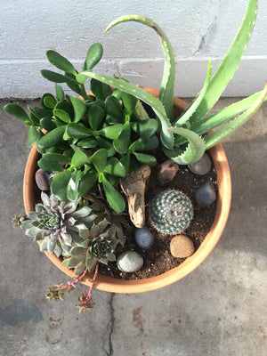 Indoor succulent planter