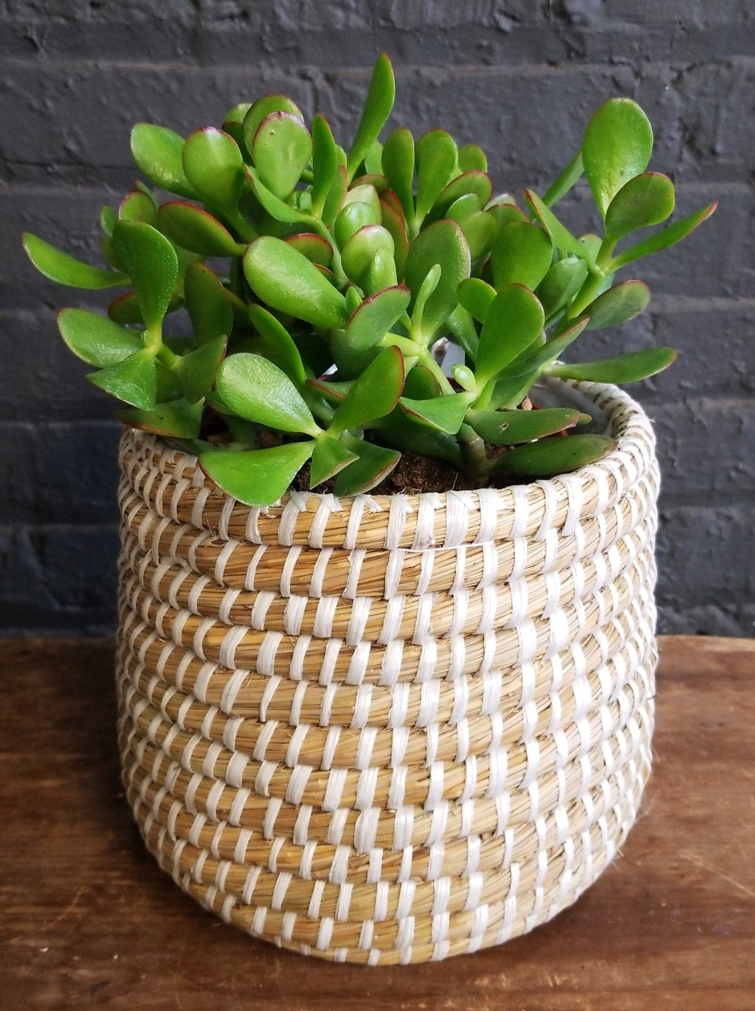 Jade in Accent Decor "Tejida" basket