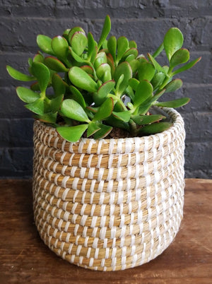 Jade in Accent Decor "Tejida" basket